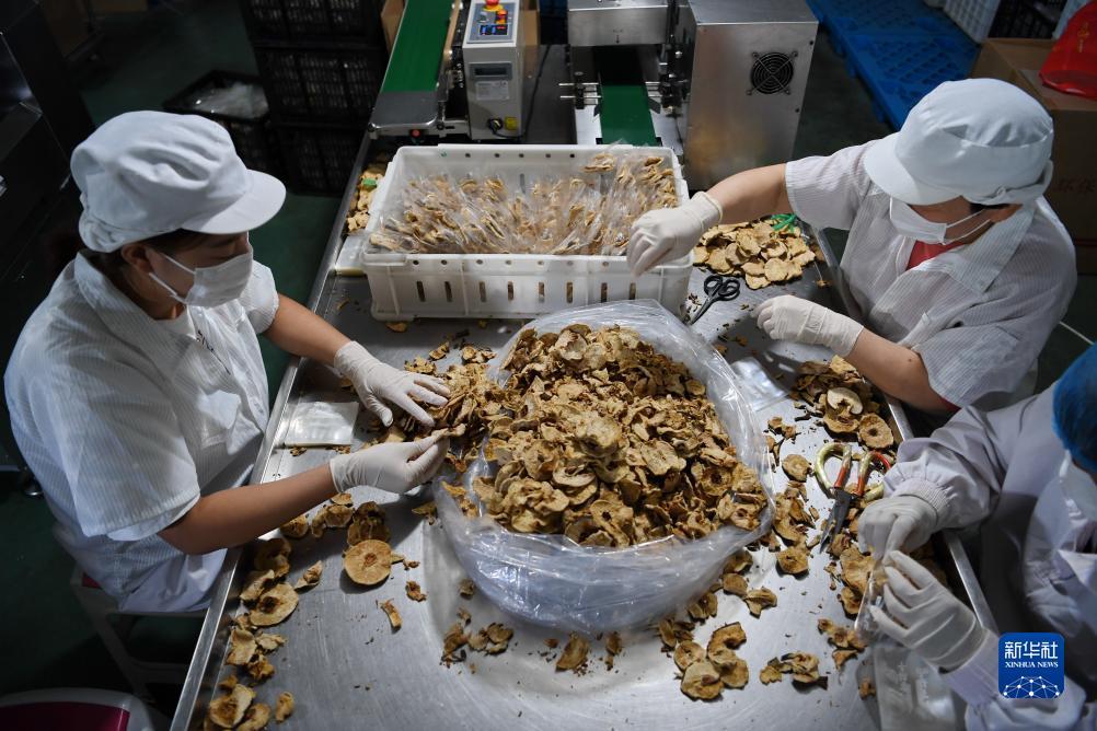 菠菜软件怎么下载